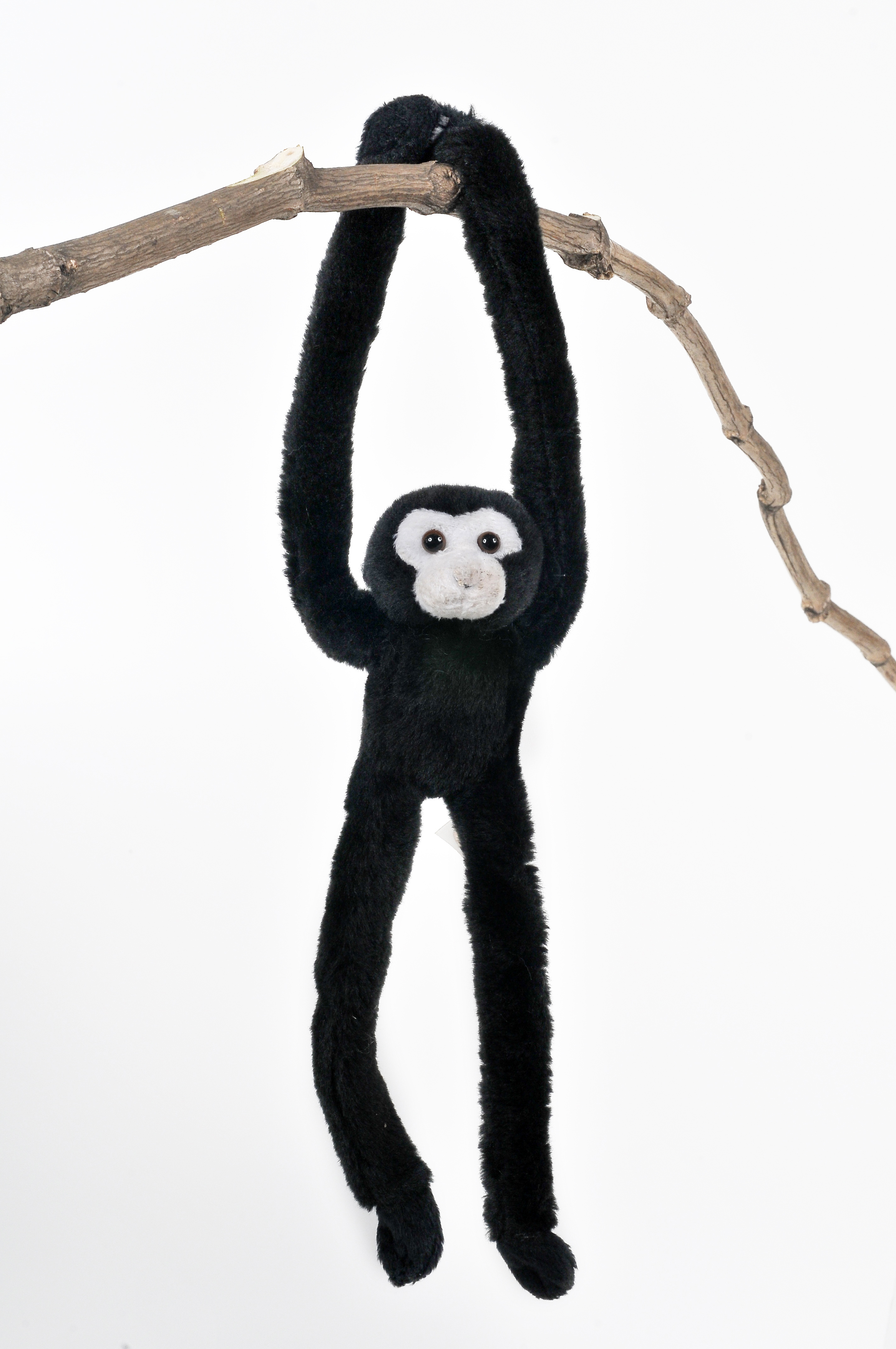 gibbon soft toy