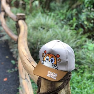 A19XXX000635 - Kids Giraffe Peek Cap