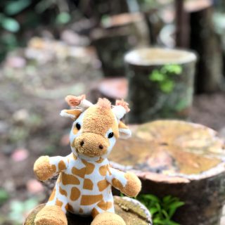 B09XAX000007 - Giraffe Stuffed 6 - 105.000