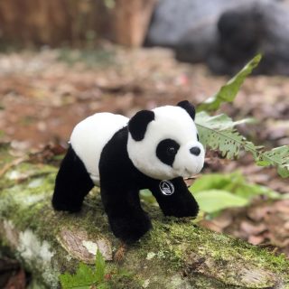 B23XXX000023 - Panda 7x7,5 ( 9,5 L )