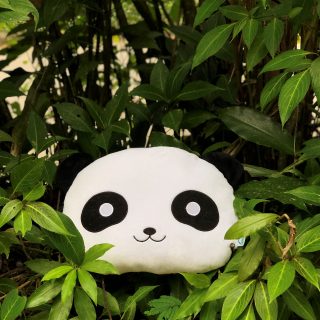 H11XXX003305 - Head Panda Cushion