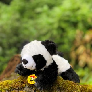 H17XXX000377 - Lying Panda W Rattle 8,5 - 80.000