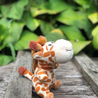 T01XXX000004 - Big Head Cuddly Giraffe -1